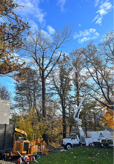 gallery-2